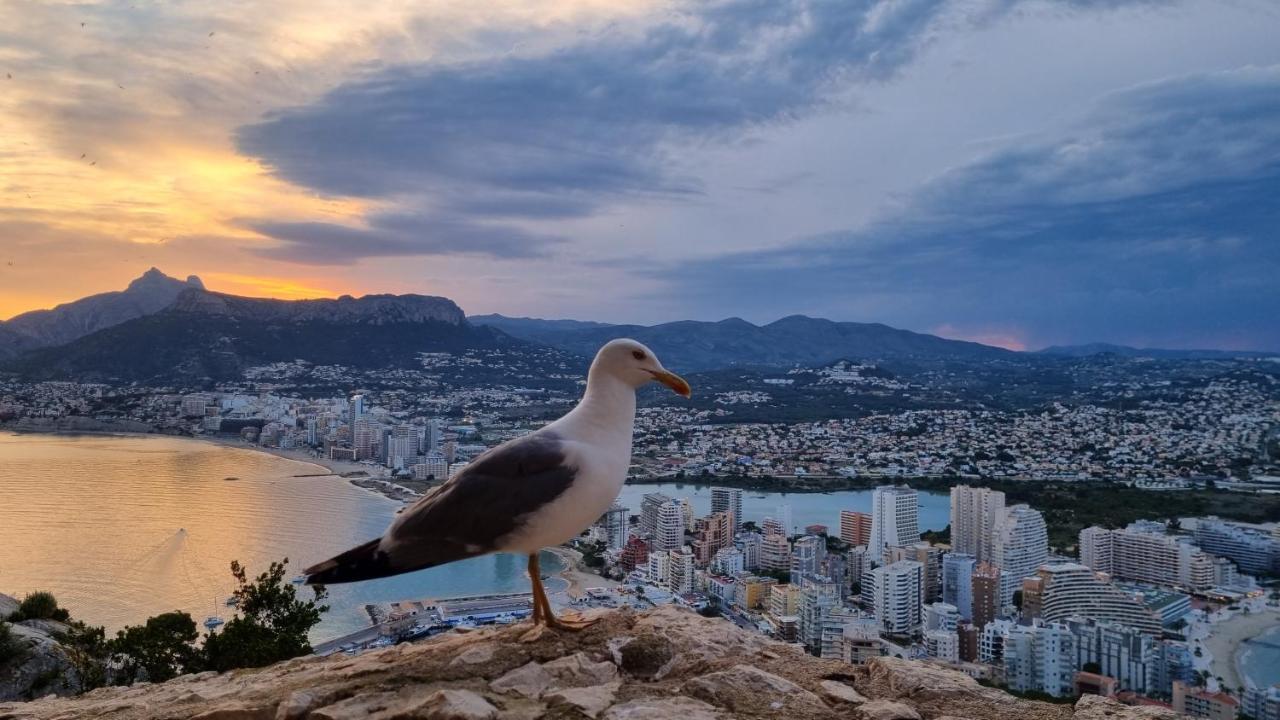 Damara Apartment Calpe Luaran gambar